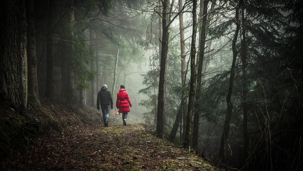 la-plus-beau-voyage-marche-vers-soi